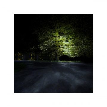 Claire Fasulo Photographe Lille arbre nuit